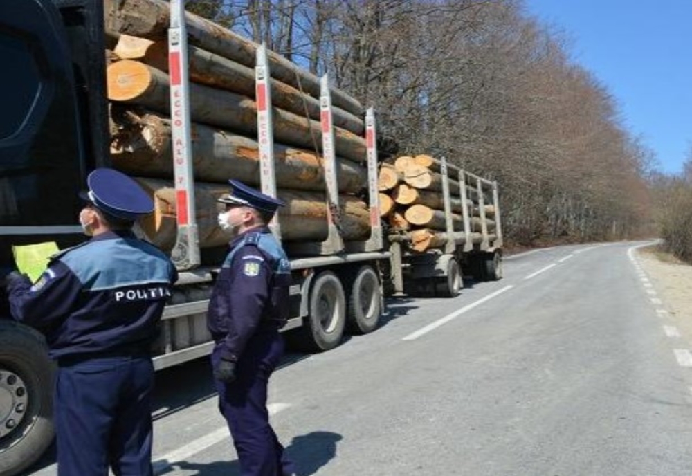 Acțiune de amploare a Poliției, pentru prevenirea delictelor silvice, la Moroieni, în Dâmbovița