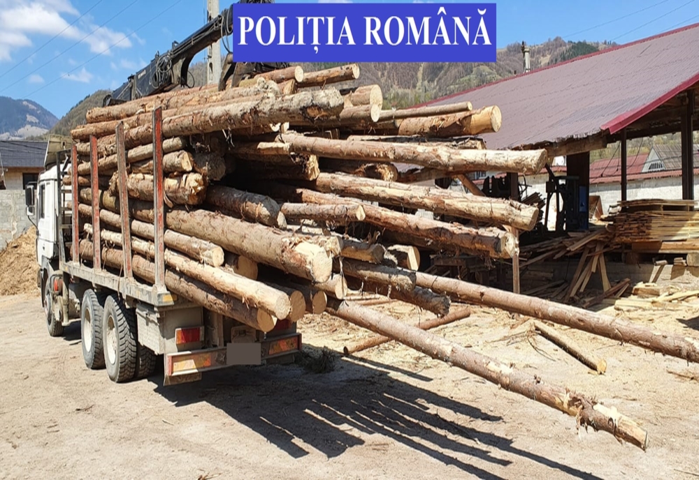 Peste 180 mc de lemn, confiscați de polițiștii din Bistrița-Năsăud! Cinci firme de profil, verificate și amendate