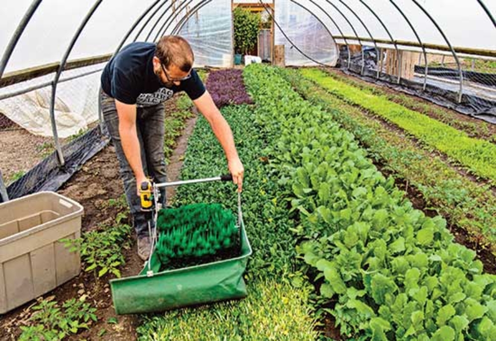 Marcel Vela: „Cei care au terenuri, grădini, pot merge să desfășoare activități de întreținere”