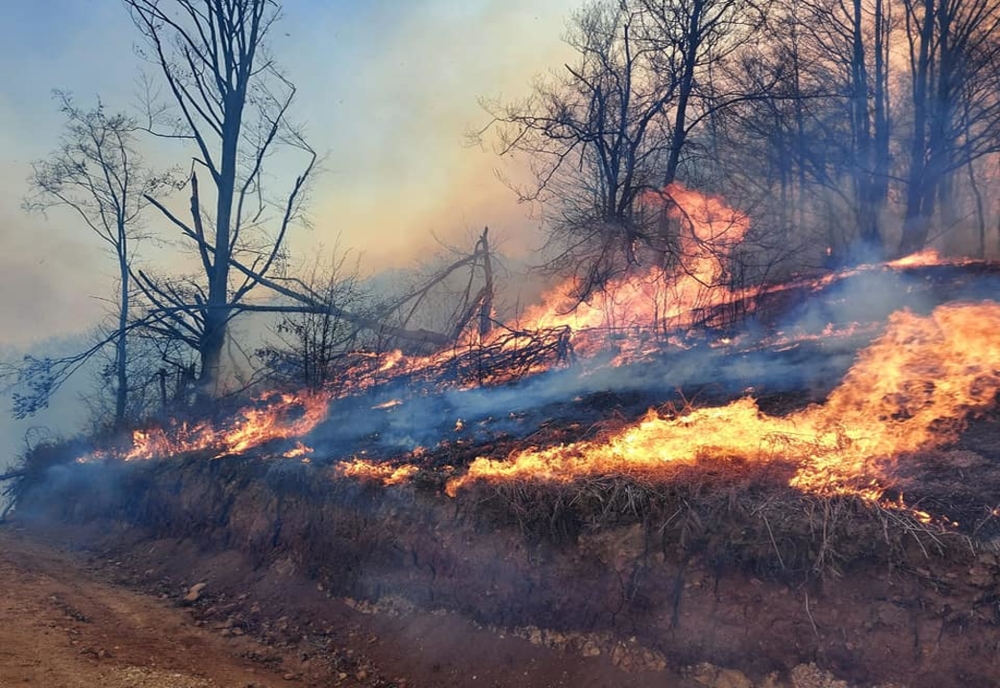 Incendiile de vegetație uscată au făcut o victimă în județul Hunedoara