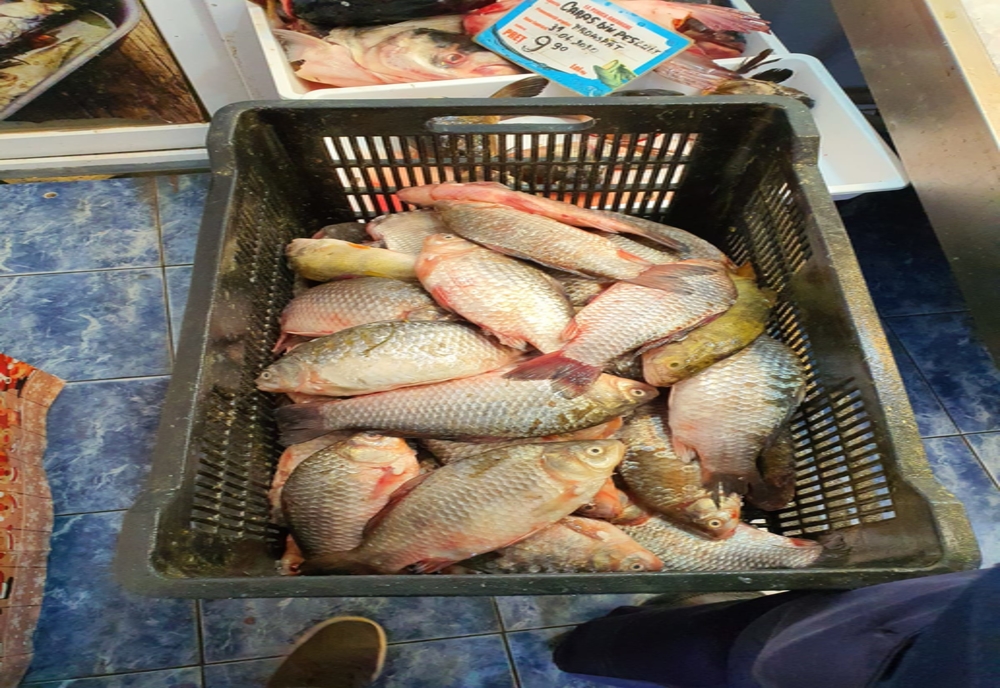 FOTO| Razii ale polițiștilor  la comercianții de pește. Peste 110 kg au fost confiscate
