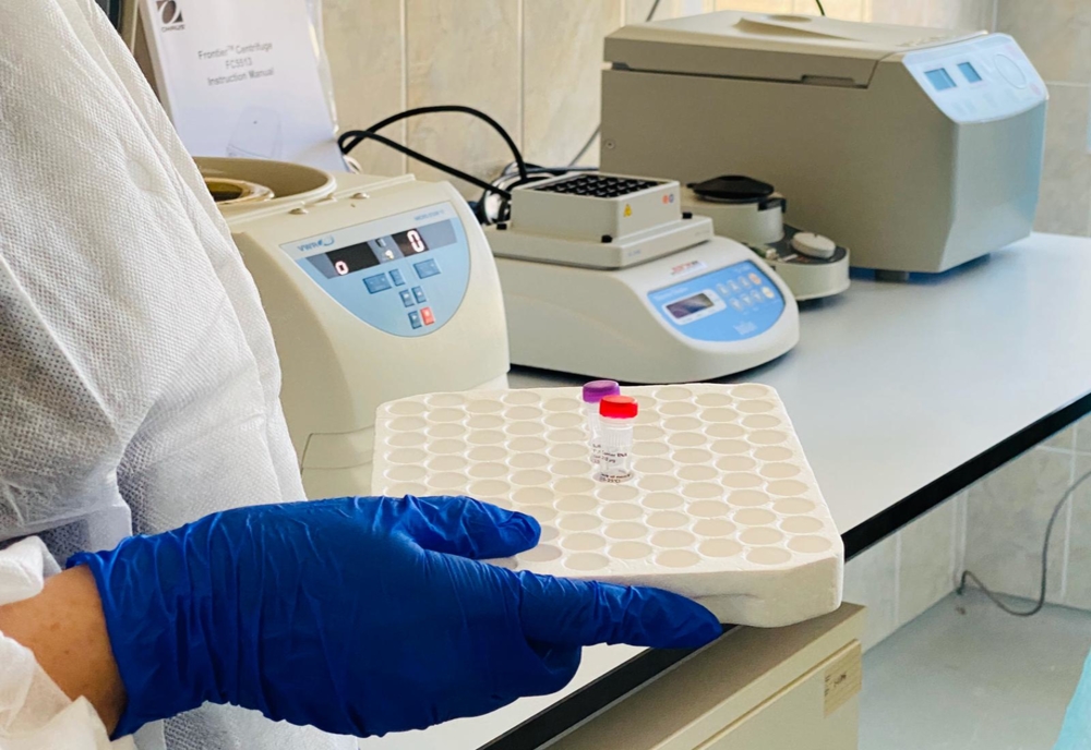 Laboratorul RT-PCR din incinta DSVSA Bistrița-Năsăud, funcțional! S-au efectuat primele teste