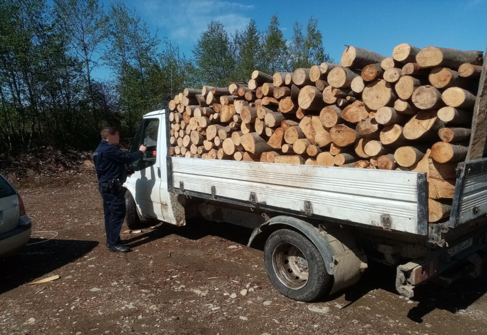Un bărbat din Sucevița a fost prins de jandarmi transportând material lemnos fără acte FOTO