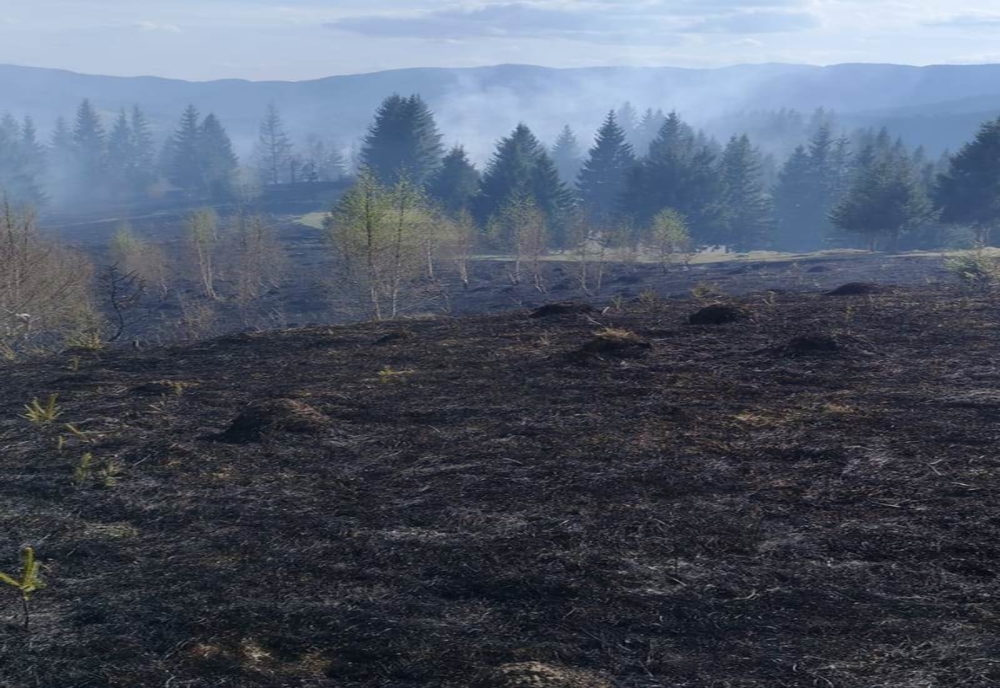 4,5 ha fond forestier și 5 ha vegetație uscată incendiate intenționat în Bicaz