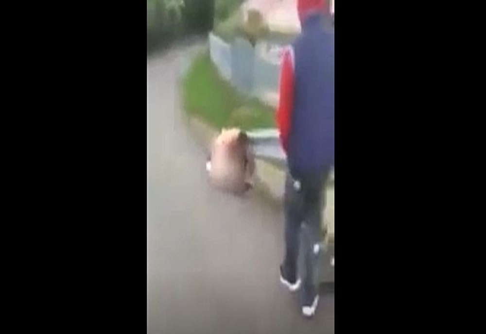 Scene șocante în plină zi în Roznov: un tânăr dezbrăcat umilește și bate alți doi minori (VIDEO)