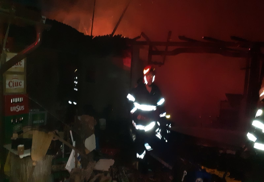 FOTO: Anexa unei gospodării din Blăjenii de Jos, distrusă de un incendiu! Mai multe animale au fost salvate