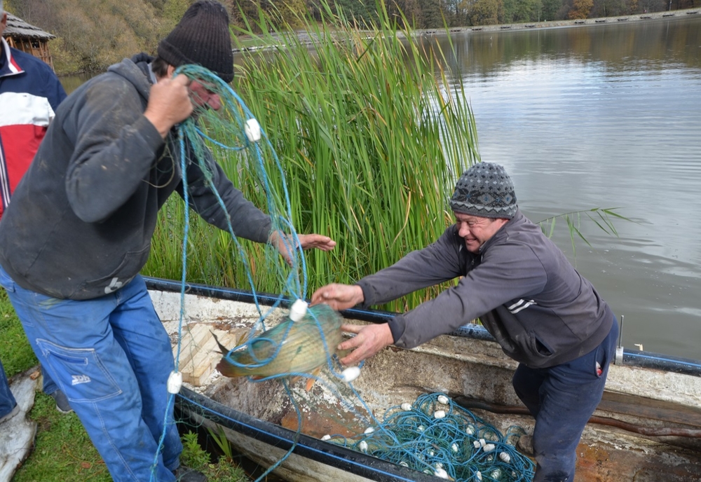 Pescarii din Delta Dunării vor găti, în weekend, în Muzeul din Dumbrava Sibiului