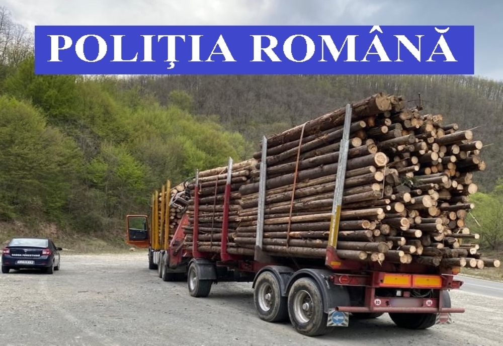 Amplă acțiune în județul Suceava pentru combaterea tăierilor ilegale de arbori