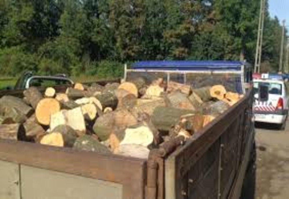 Harghitean amendat cu 5.000 de lei pentru transport ilegal de lemne