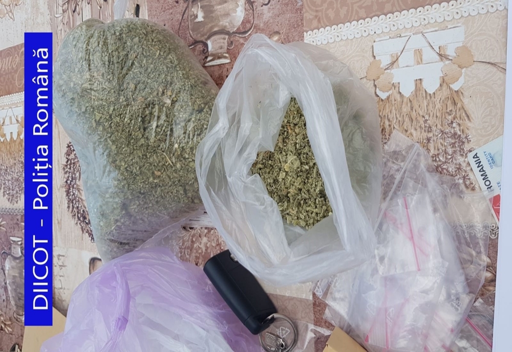 Percheziții DIICOT în Bihor și Maramureș! 15 traficanți de droguri, reținuți