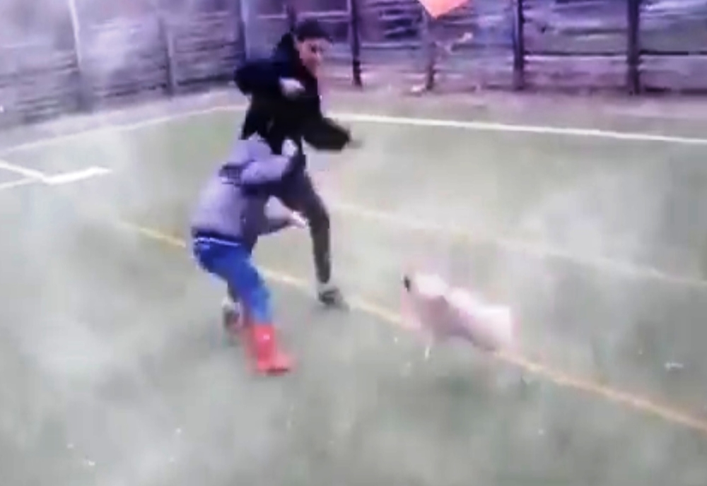 VIDEO. Poliţiştii din Teleorman îl caută pe un tânăr care s-a filmat chinuind un câine