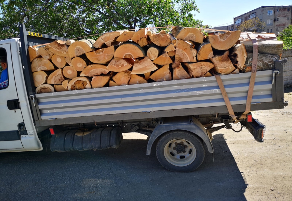 31 de metri cubi de material lemnos, confiscați de polițiști