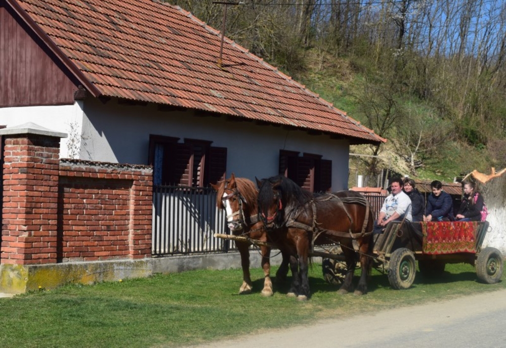 Discover Timiș, comuna Margina, evadare din cotidian. Video