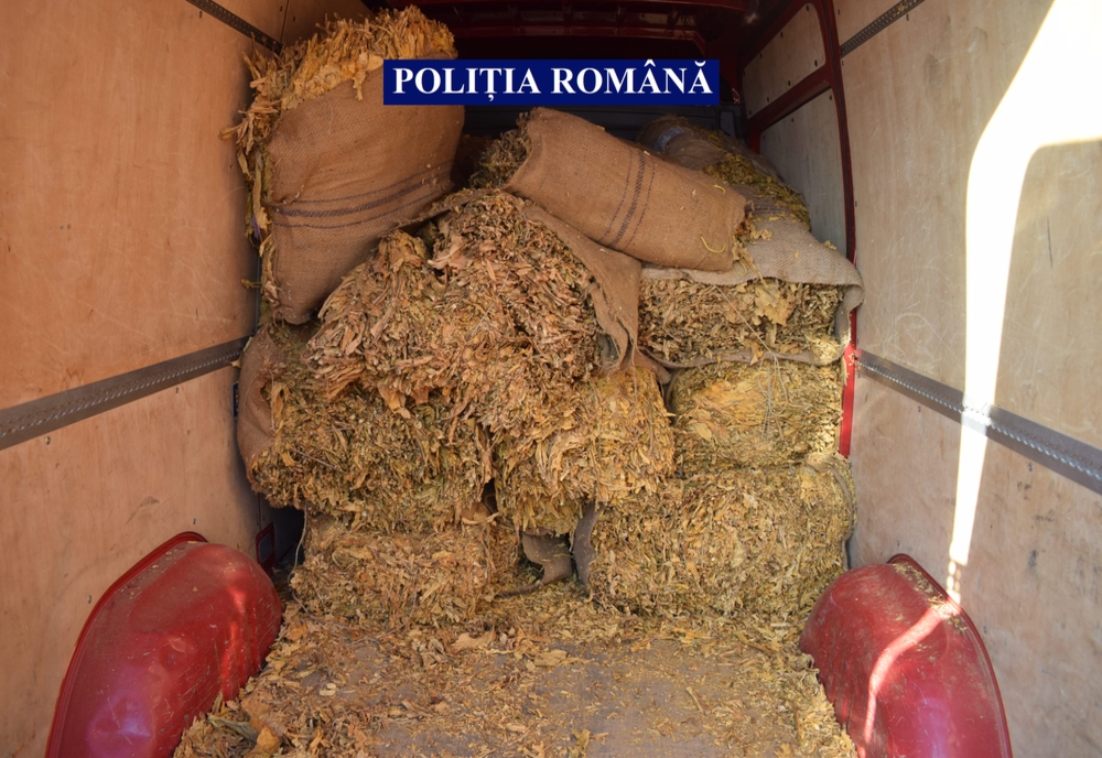 FOTO: Peste 4 tone de tutun, confiscate de polițiștii din Călărași, în urma a 5 percheziții care au avut loc pe raza județului
