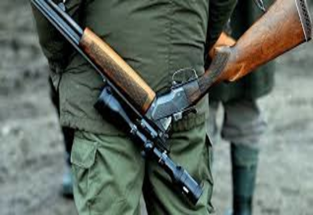 Percheziții în Alba. Polițiștii au confiscat 10 arme deținute ilegal, muniție și alte dispozitive