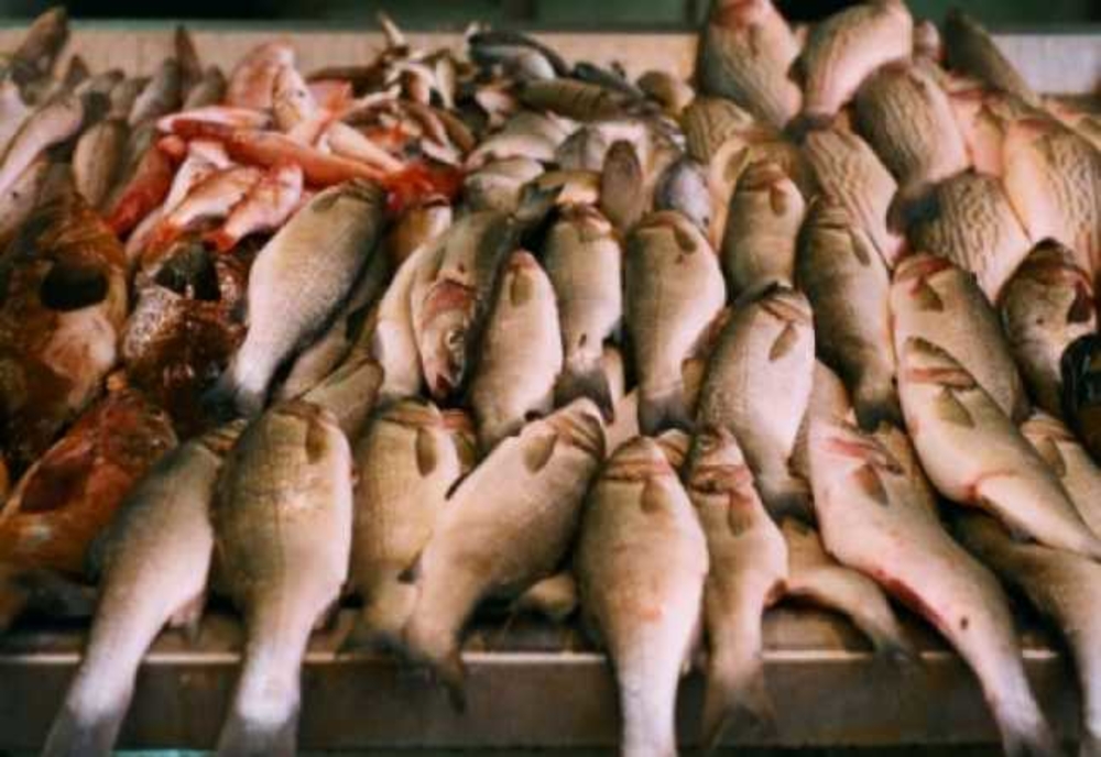 Controale în piețe, la magazine care comercializează pește