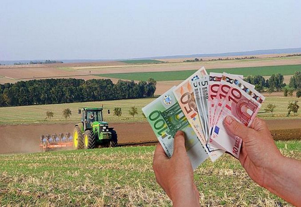 Tinerii fermieri pot solicita de la AFIR fonduri nerambursabile pentru instalarea ca șefi de exploatații agricole