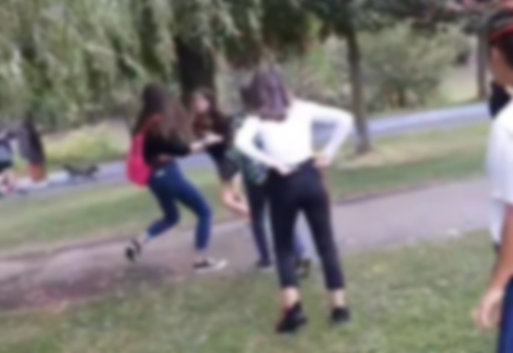 Bătaie între adolescente, într-un parc din Arad. Fetele ar fi consumat votcă și bere