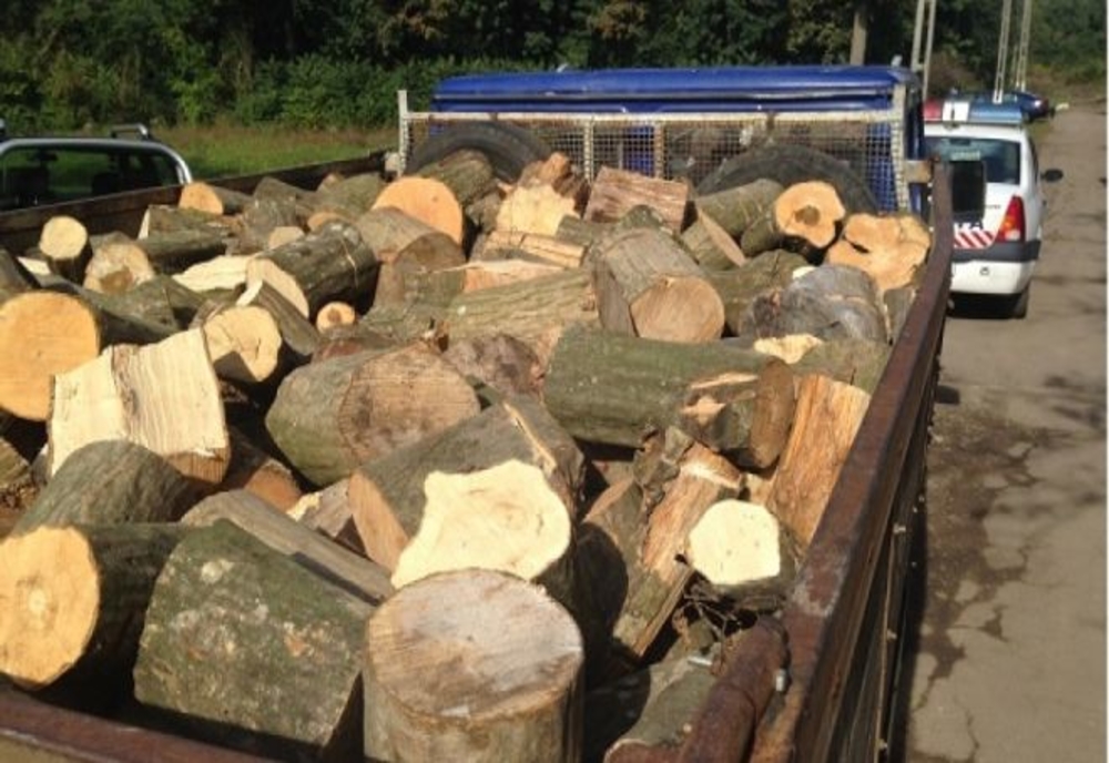 Hoţii de lemne vor rămâne fără mijloacele pe care le folosesc pentru comiterea ilegalităţilor!