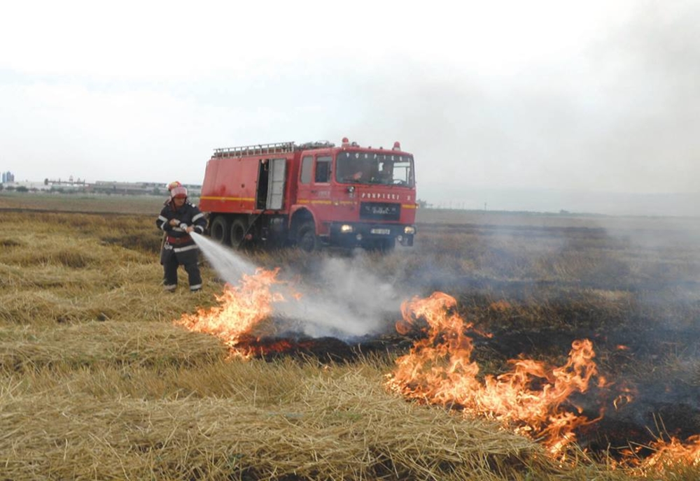 Trafic întrerupt pe DN5 din cauza unui incendiu de vegetație, la Uzunu