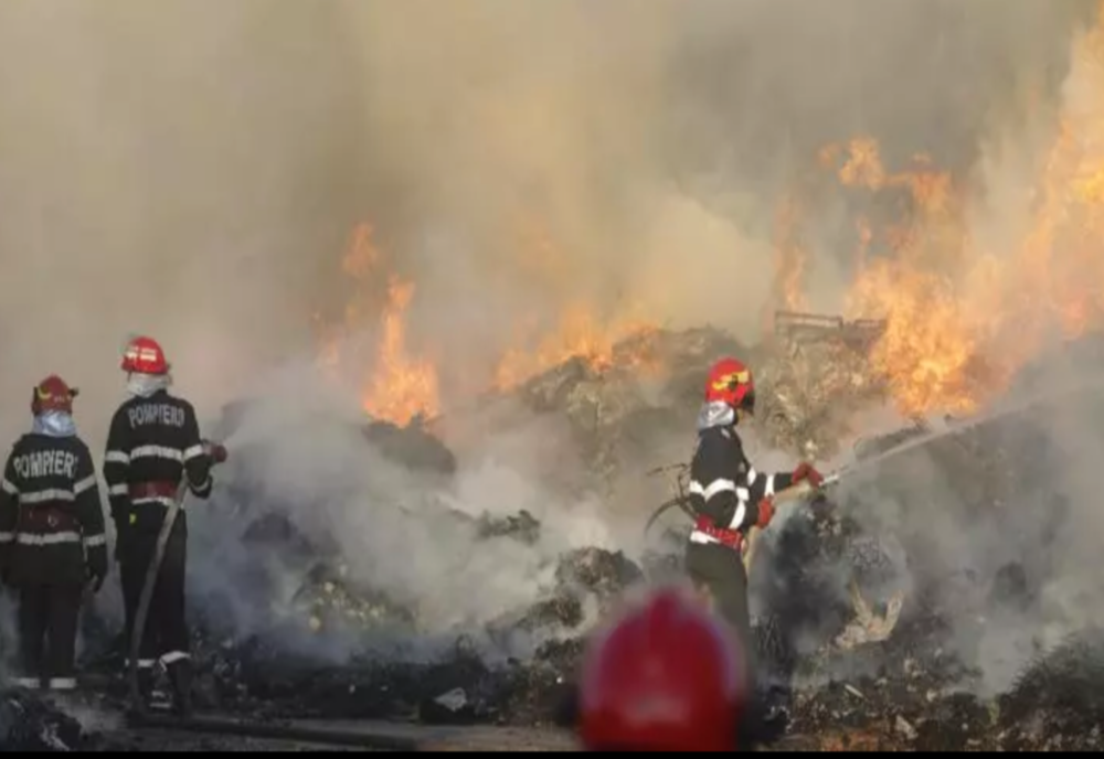 Incendiu puternic de vegetație lângă București în dreptul orasului Chitila