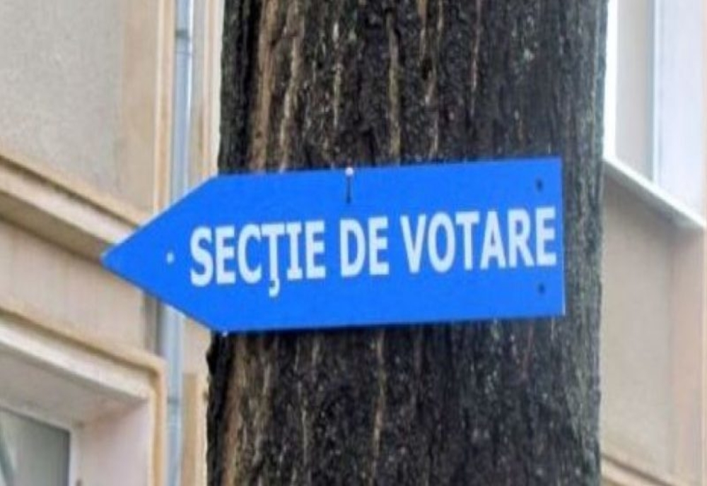 Șeful AEP estimează o prezență la alegerile locale de 50%