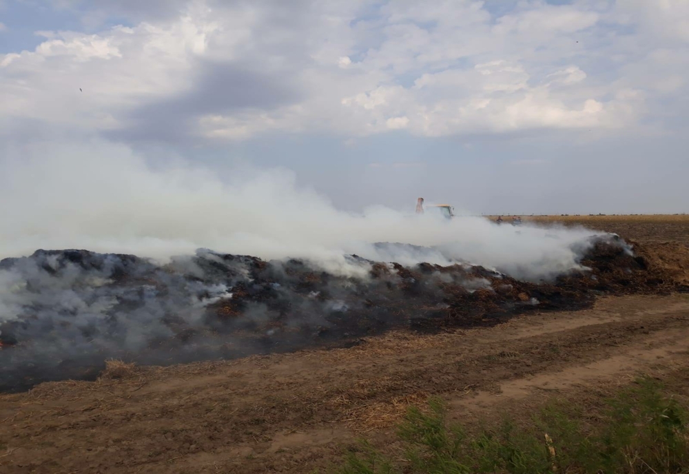 Incendiu puternic de miriște de porumb la Armănești