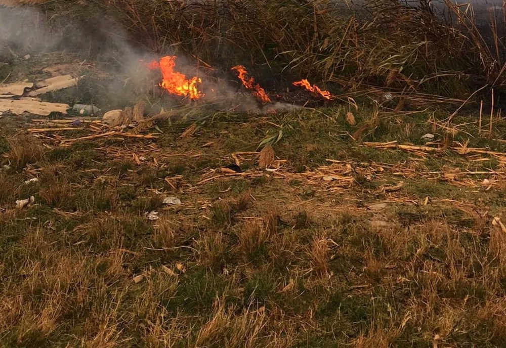 30 de hectare de vegetație uscată, cuprinse de flăcări, la Malu