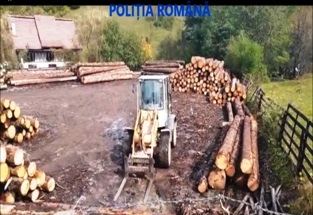 VIDEO. Evaziune fiscală cu material lemnos. Poliţiştii din Gorj au făcut percheziţii