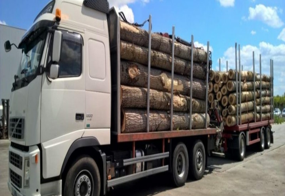 IJJ – Transportau lemne, deși nu au înregistrat încărcătura în aplicația SUMAL