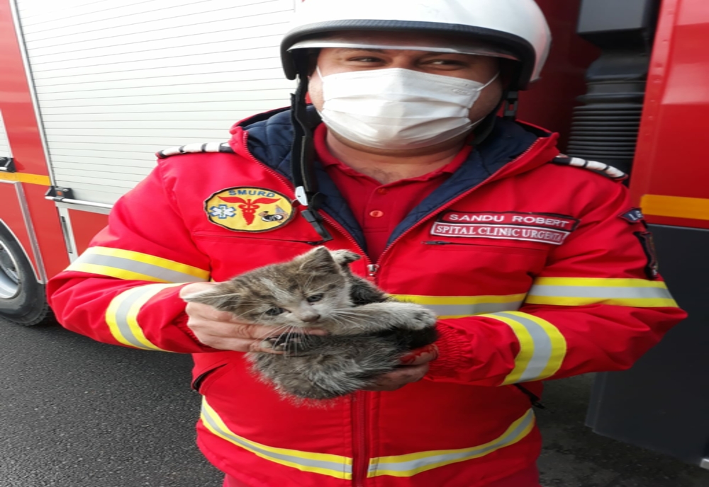 Pompierii din Craiova au salvat şi adoptat un pui de pisică prins sub un tramvai aflat în mers