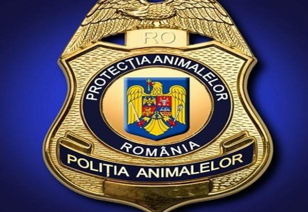 Poliția Ilfov angajează personal la Biroul pentru Protecția Animalelor