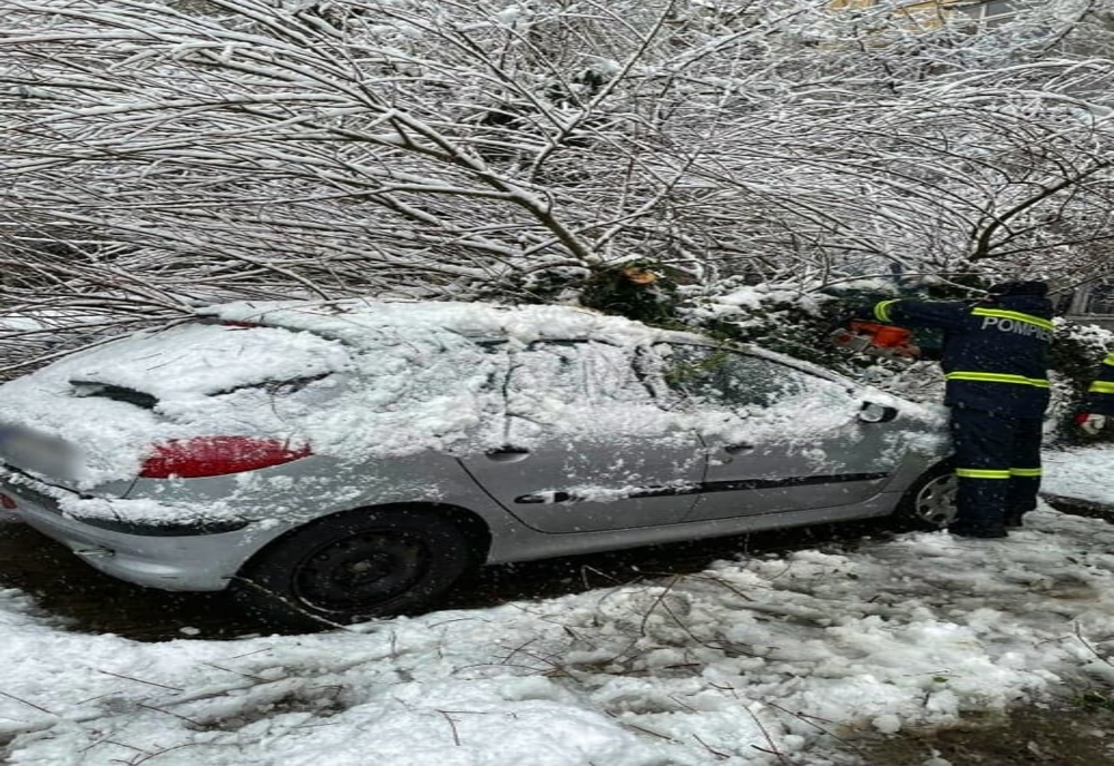 Patru autoturisme avariate în Giurgiu, după ce copaci încărcați cu zăpadă au căzut peste ele
