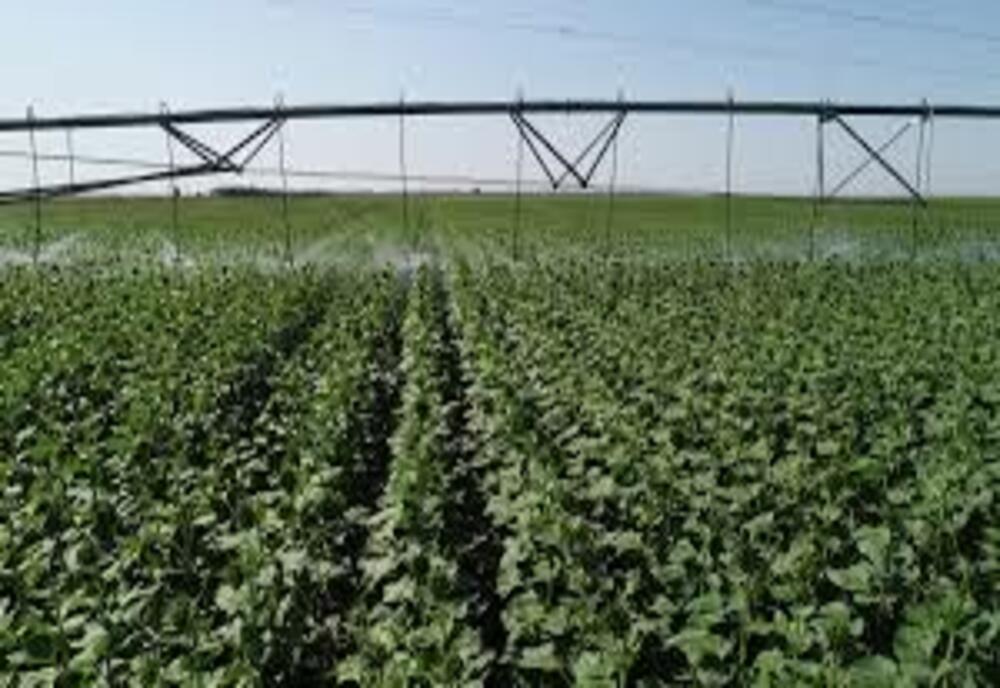 Asociația Producătorilor Agricoli din Dobrogea solicită suplimentarea fondurilor pentru sistemul de irigații