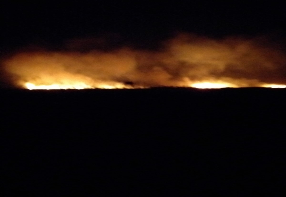 Incendiu de vegetație în apropiere de Poligonul Vulpea