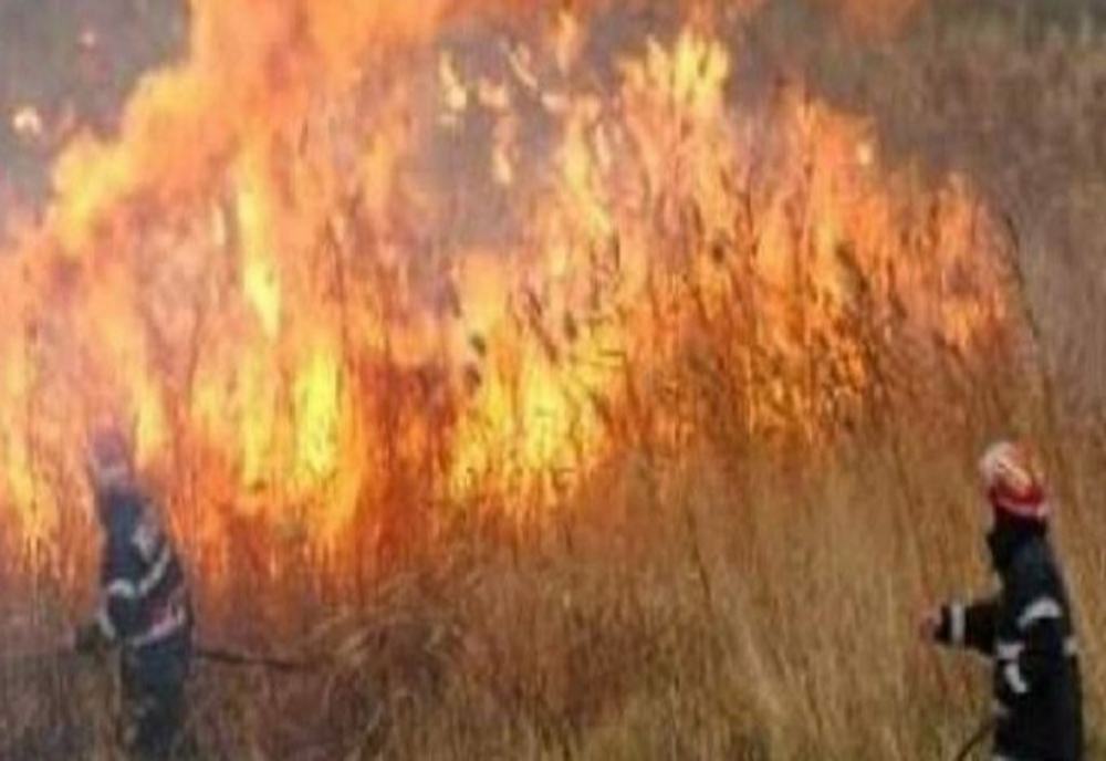 Incendiu violent de vegetație uscată, în Prahova. 70 de hectare afectate