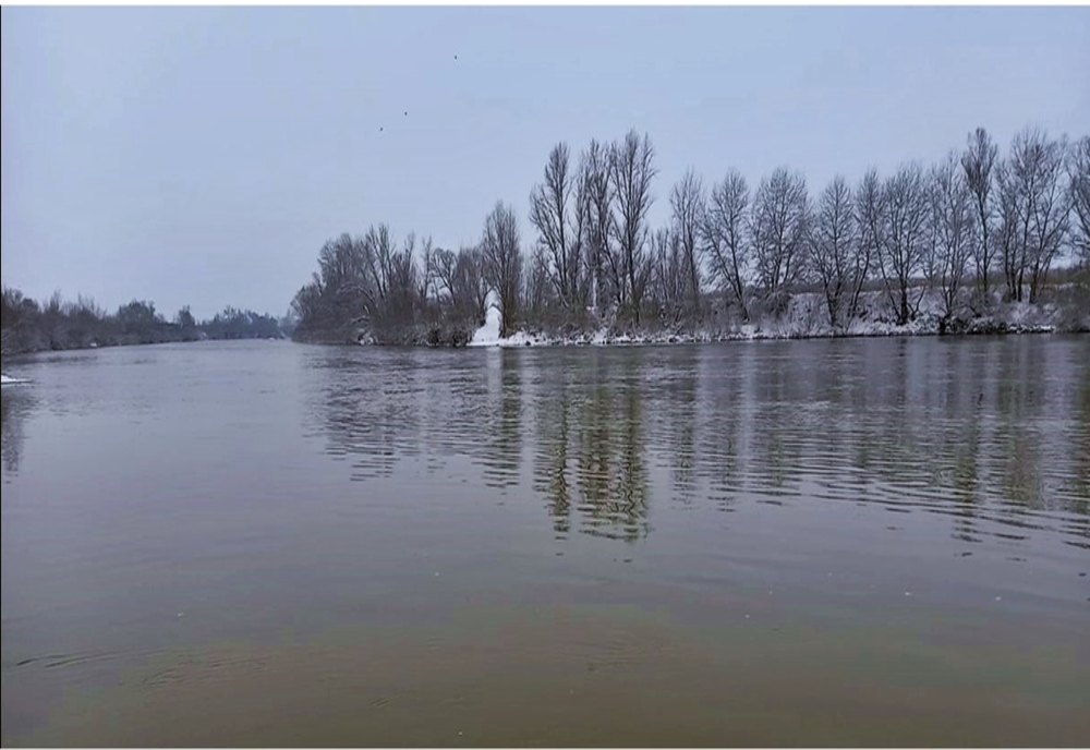 VIDEO: Apele poluate ale râului Băița, au ajuns în Someș, la granița cu Ungaria