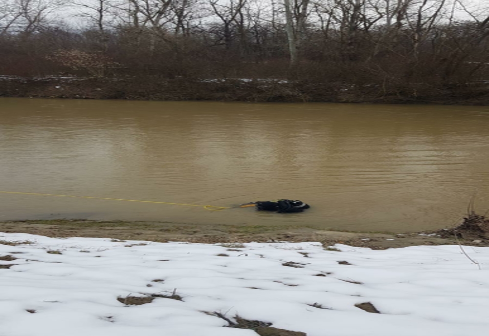 Bărbat găsit mort pe fundul râului Argeș, după 11 zile de căutări