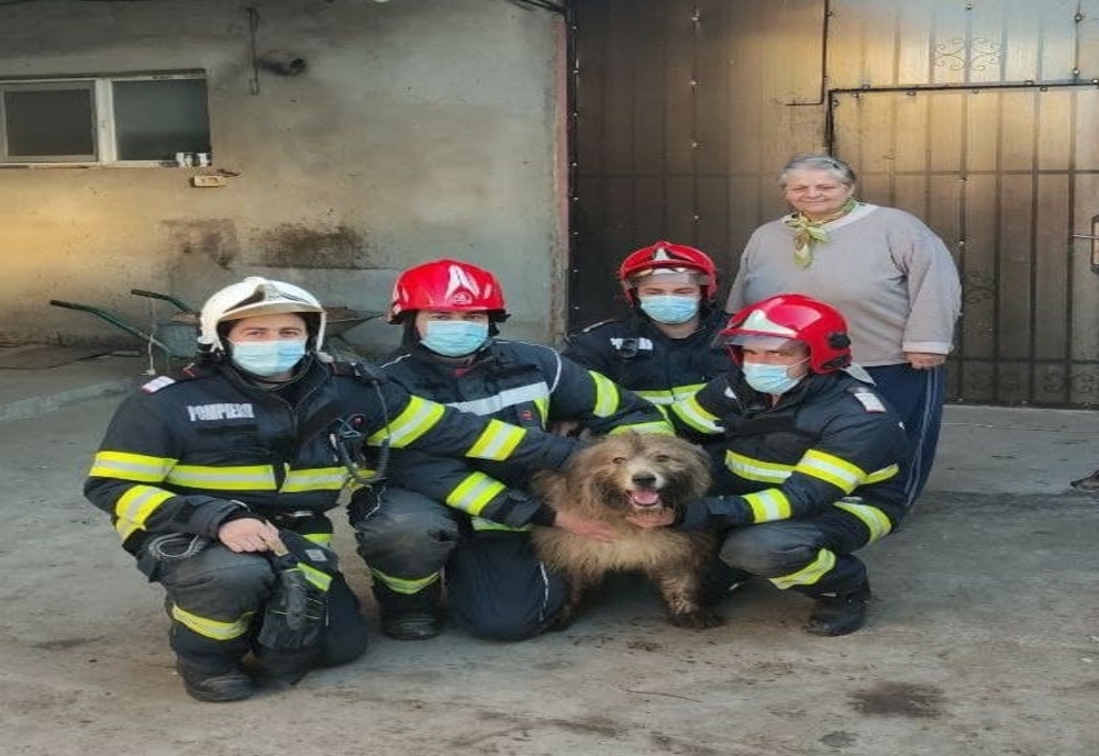 Cățel salvat de pompierii timișeni dintr-o fântână adâncă de zece metri