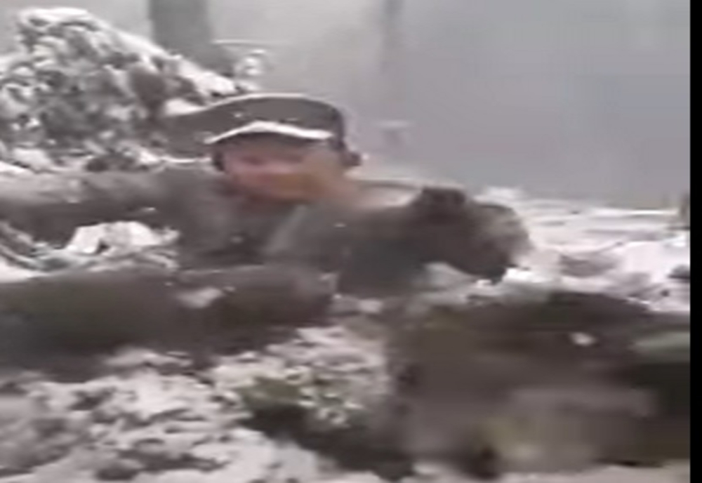 ‼️‼️ REVOLTĂTOR ‼️‼️ Patru pui de urs scoși brutal din bârlog și aruncați prin zăpadă! (VIDEO)