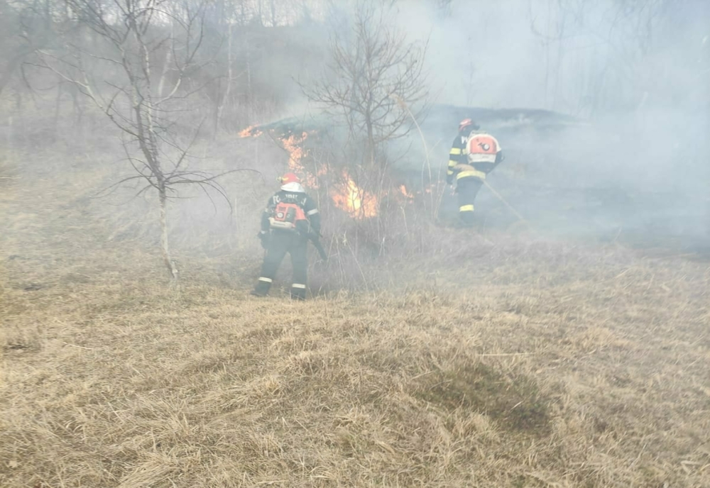 Un incendiu de vegetație a distrus 35 de hectare de vegetație uscată, lăstăriș, mărăciniș, și 200 de metri de cabluri electrice