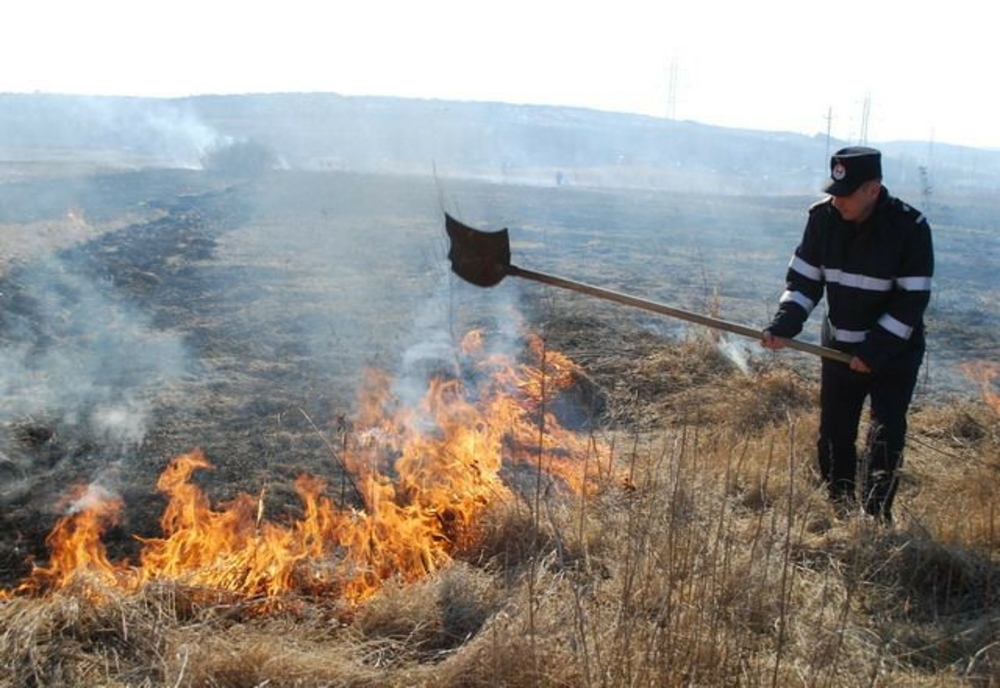 Vița de vie și vegetația de pe 5 hectare de teren, afectate de un incendiu la Urlați