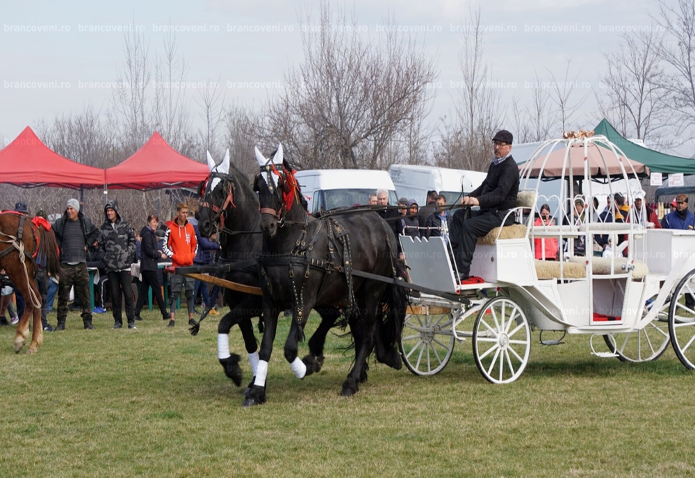 Olt: Sărbătoarea cabalină tradiţională de la Brâncoveni, anulată din cauza pandemiei