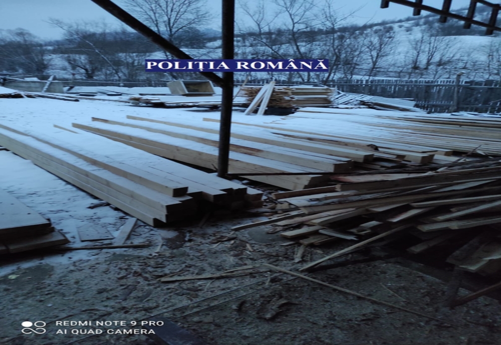 72 m.c. material lemnos şi două instalaţii neautorizate de debitat lemn, descoperite de poliţişti în urma unor percheziţii la Brusturoasa