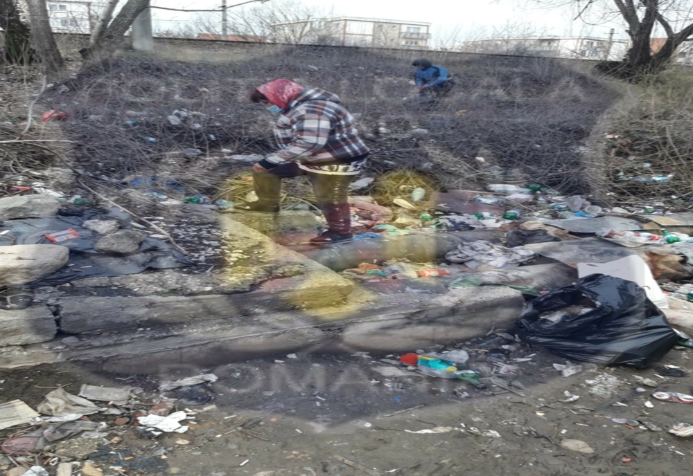Curățenie făcută de beneficiari ai ajutorului social, în Arad