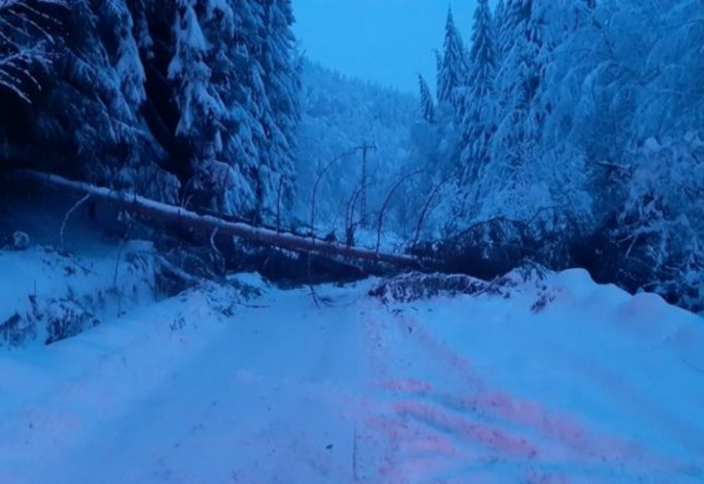 Staţiunea Parâng a rămas fără curent. Linia electrică a fost avariată în urma ninsorilor abundente