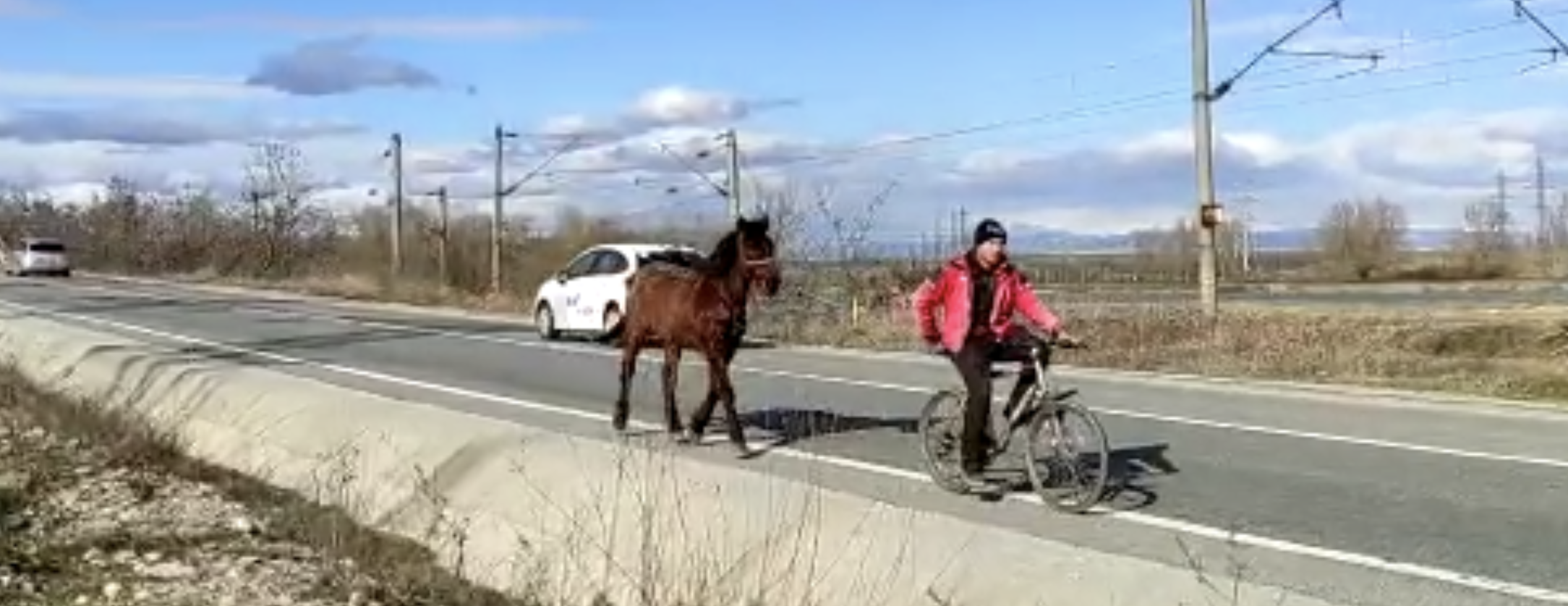 VIDEO. Calul de la bicicletă. Doar o imagine a sărăciei în pandemie, dar numai asta?
