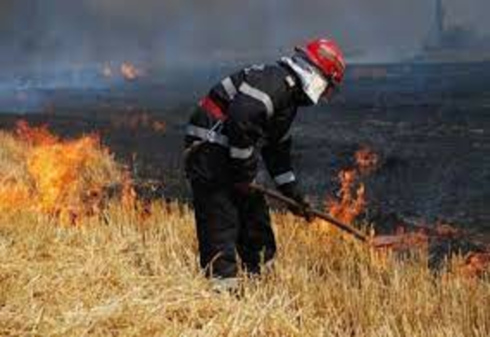 Incendii de vegetație provocate în Caraș-Severin