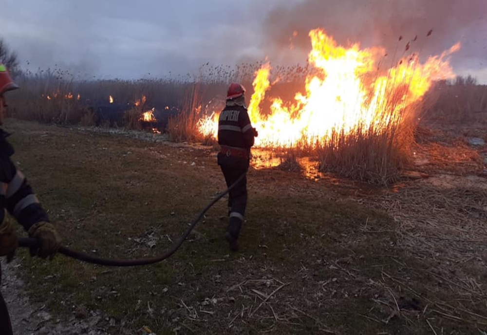 VIDEO| Arderea vegetației, interzisă în Deltă. În caz contrar se vor aplica amenzi drastice