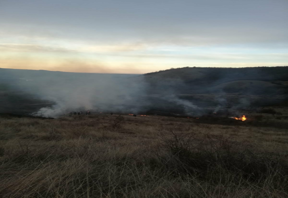 14 incendii de vegetație uscată în weekend